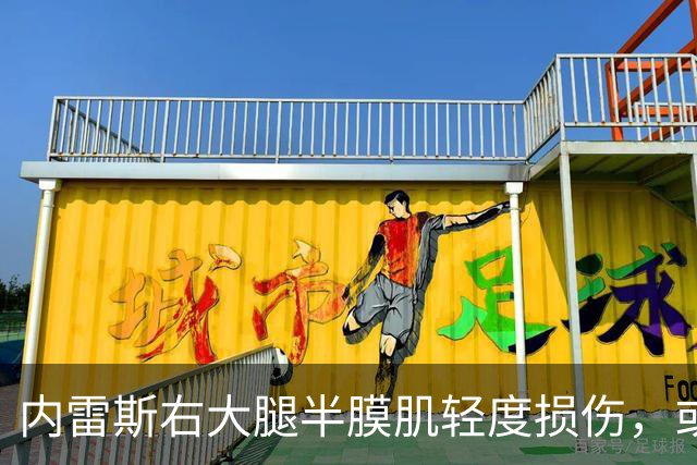 内雷斯右大腿半膜肌轻度损伤，或缺阵至11月国际比赛日