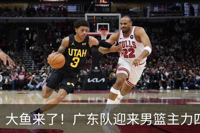 大鱼来了！广东队迎来男篮主力四号位，力保亚帅进总决赛！
