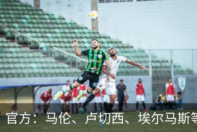 官方：马伦、卢切西、埃尔马斯等5人下轮意甲停赛